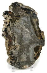 Contemporary Shades of Grey Agate Slice