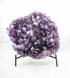 Brazilian Amethyst Cluster
