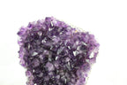 Brazilian Amethyst Cluster
