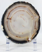 Brazilian Agate Slice