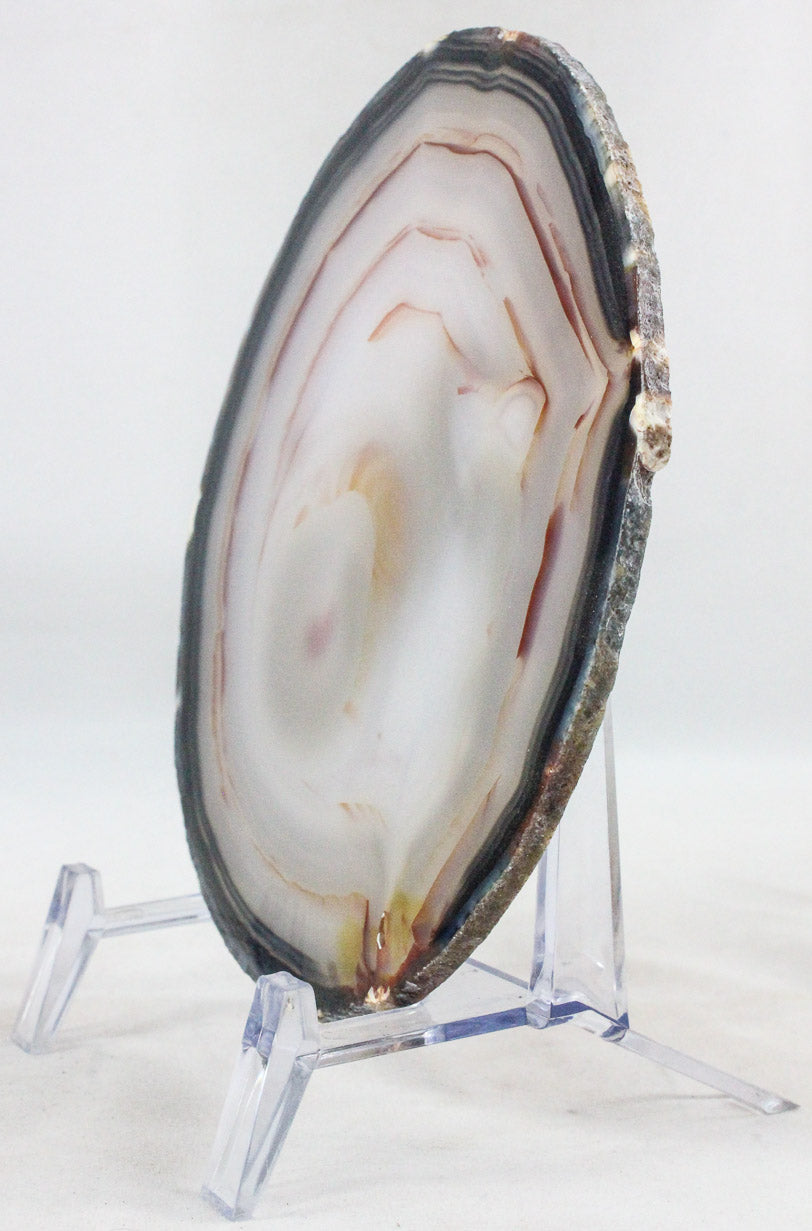 Brazilian Agate Slice