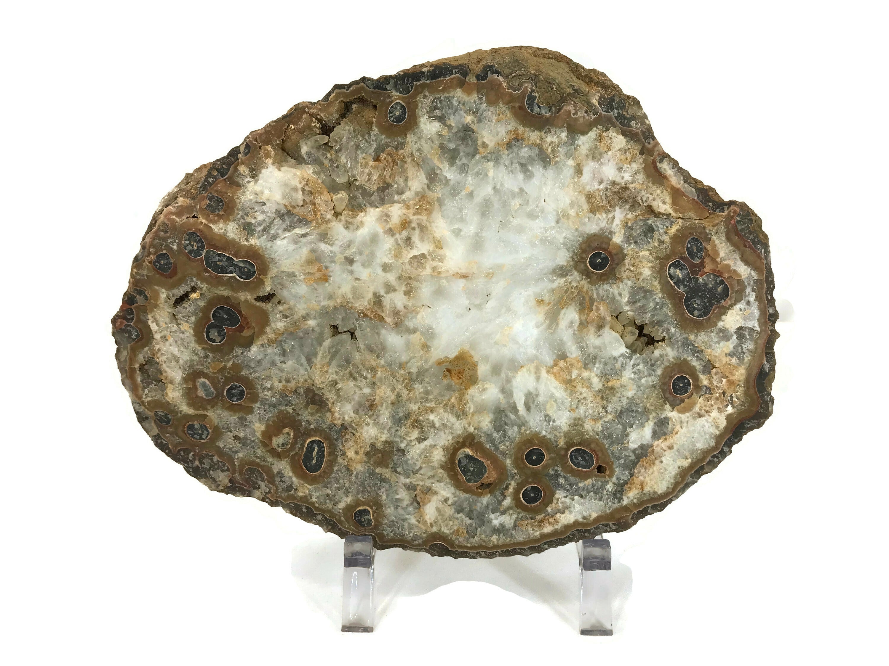 Dramatic Eyed Agate Endcap