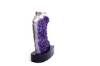 Brazilian Amethyst Cluster