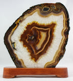 Brazilian Agate Slice