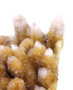 Giant African Cactus Quartz Plate