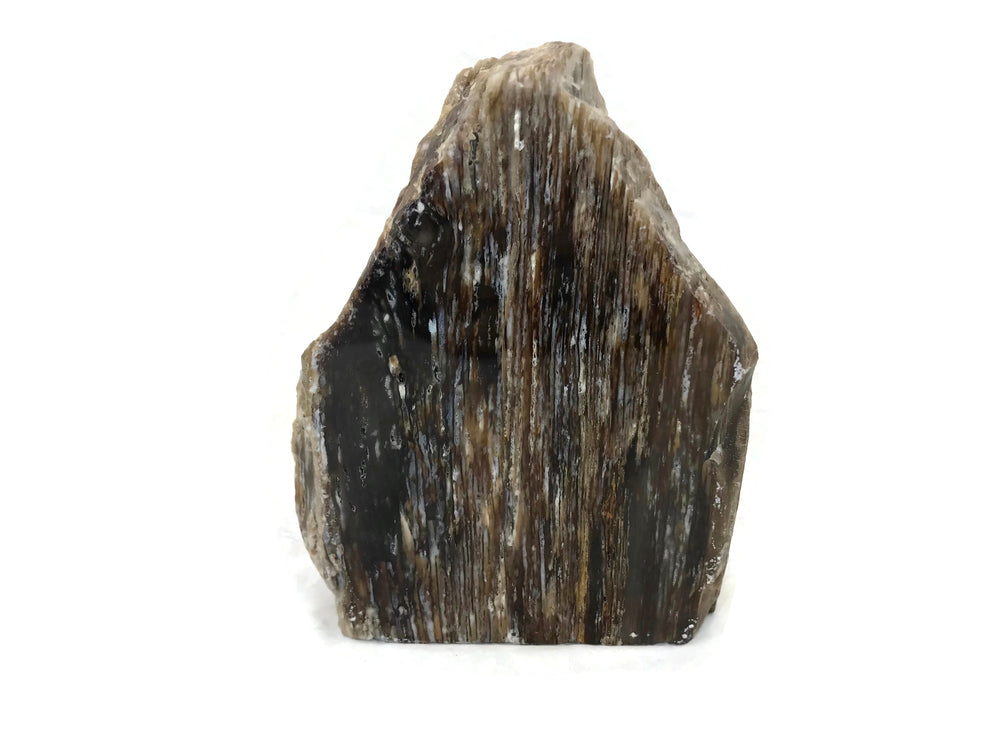 Striated Petrified Wood Freeform