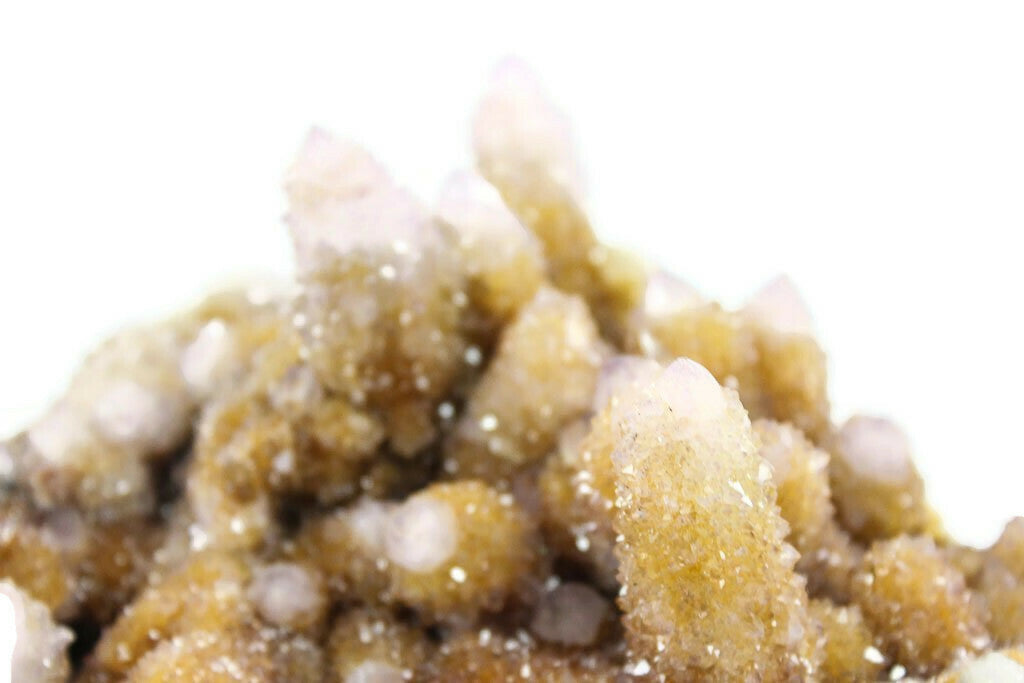 Giant African Cactus Quartz Plate