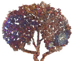Rainbow Colored Copper  Oak Tree