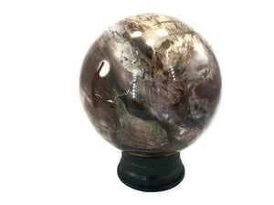 Magnifient Petrified Wood Sphere