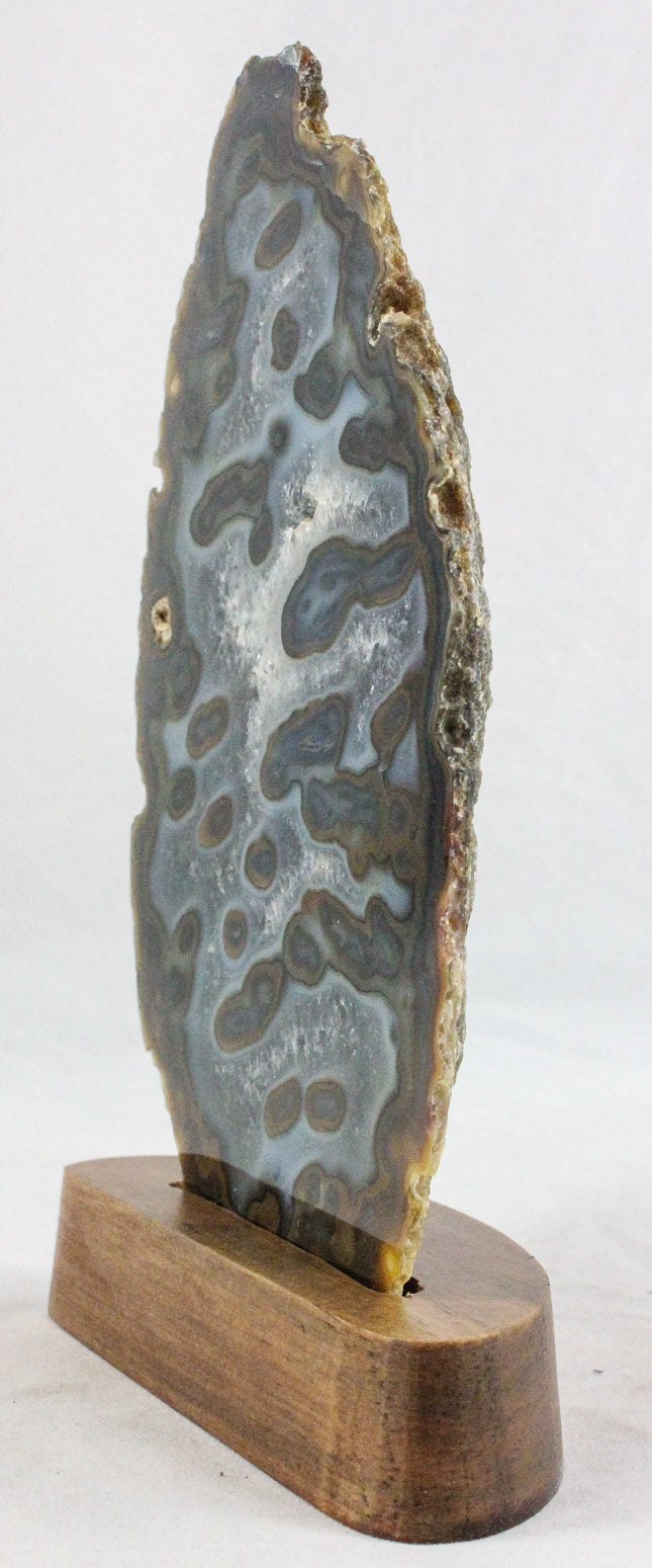 Brazilian Agate w/ Eyes