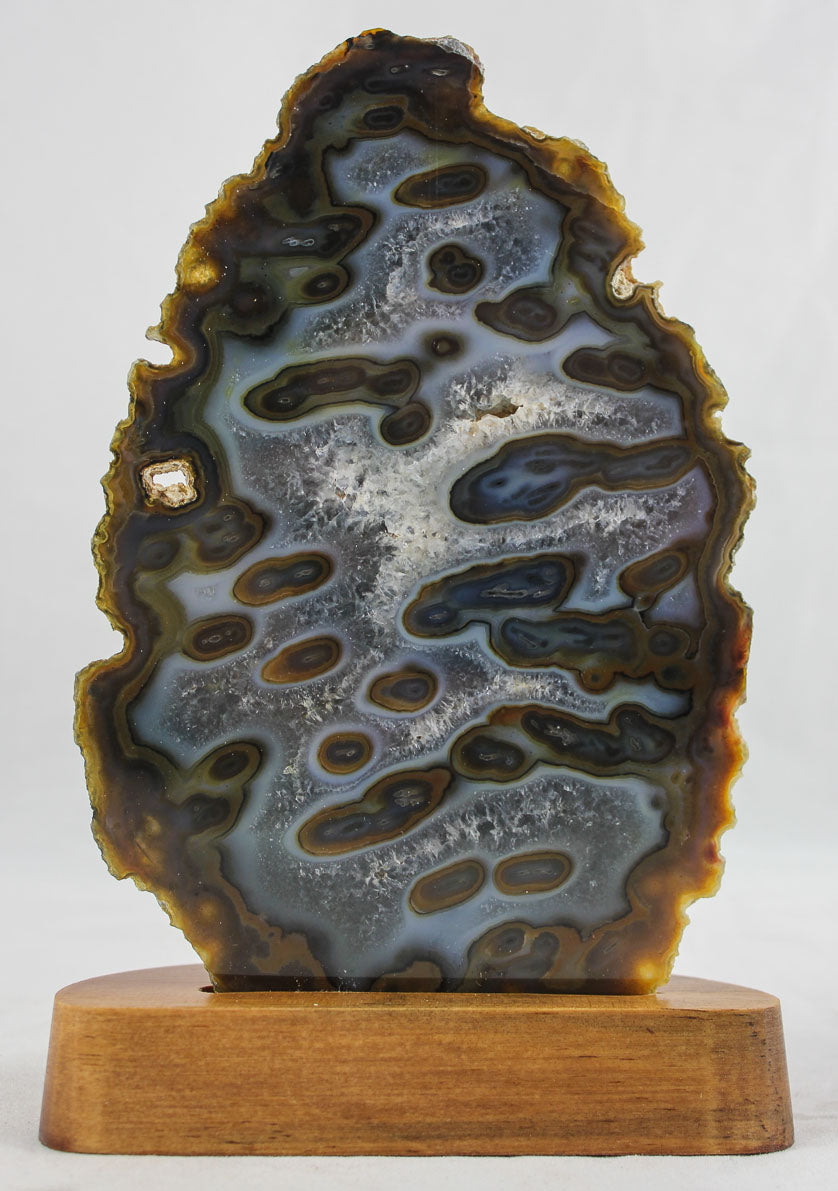 Brazilian Agate w/ Eyes
