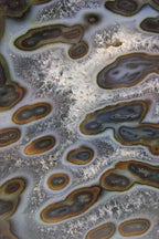 Brazilian Agate w/ Eyes