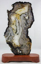 Brazilian Agate Slice