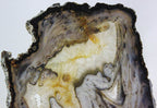 Brazilian Agate Slice