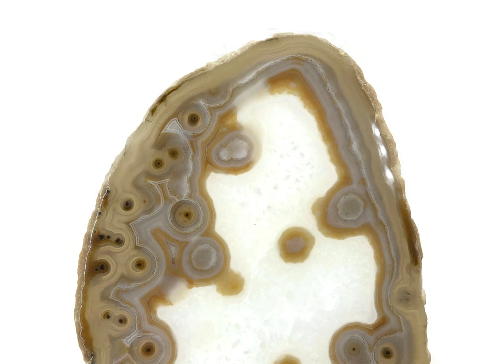 Eyed Agate Slice