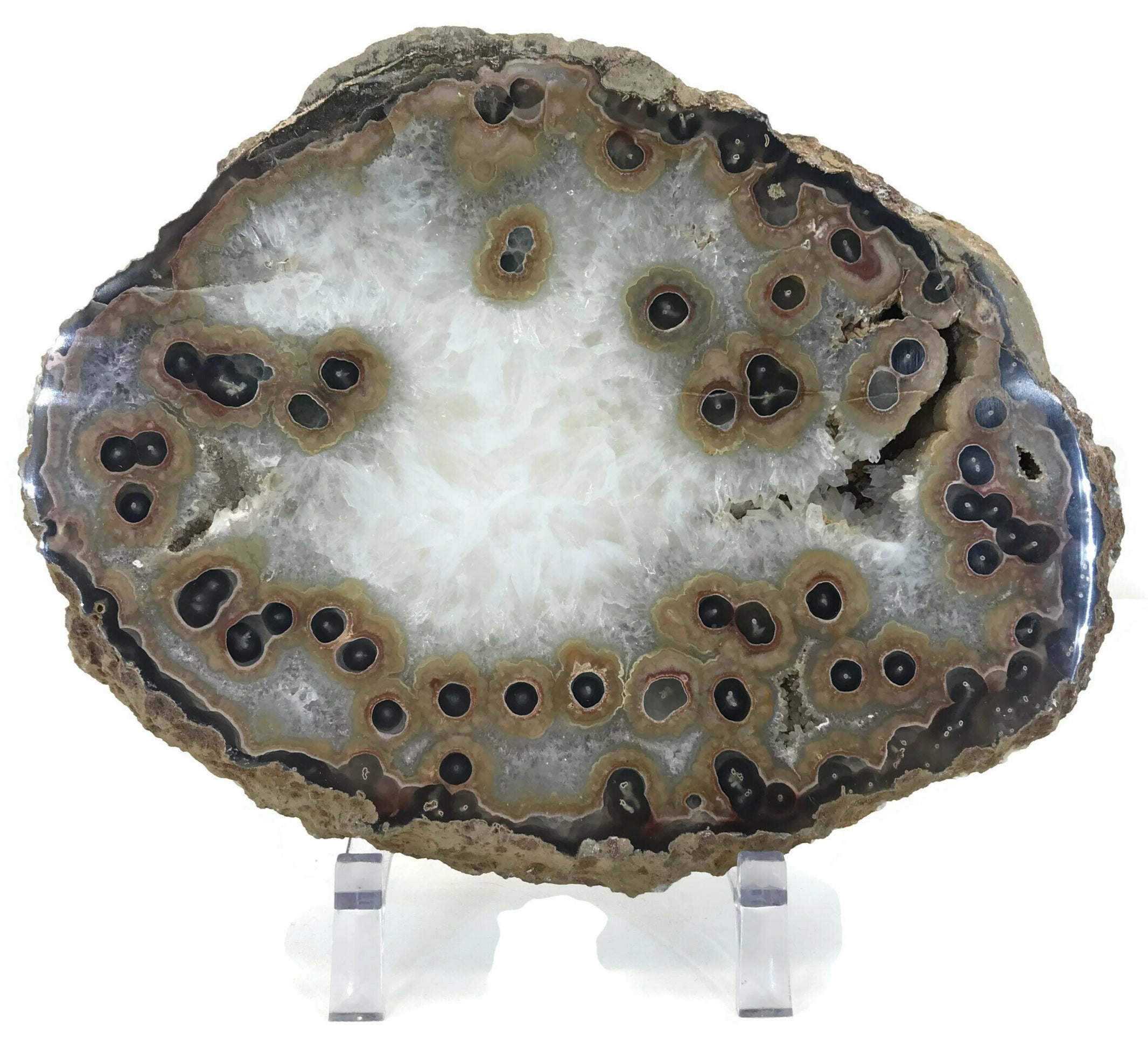 Dramatic Eyed Agate Endcap