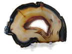Crystal Lined Agate Slice