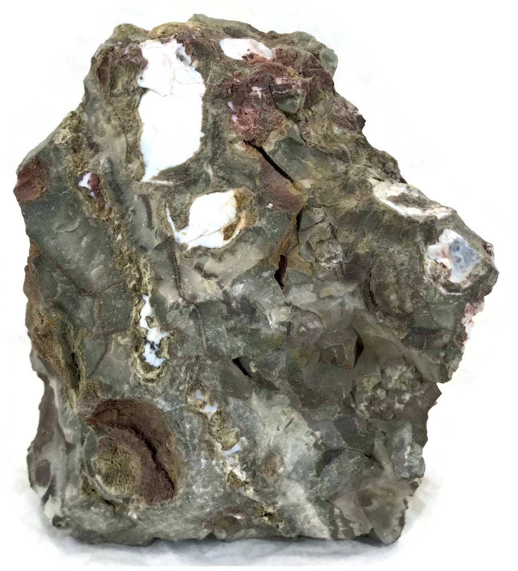 Australian Rainforest Jasper Nodule