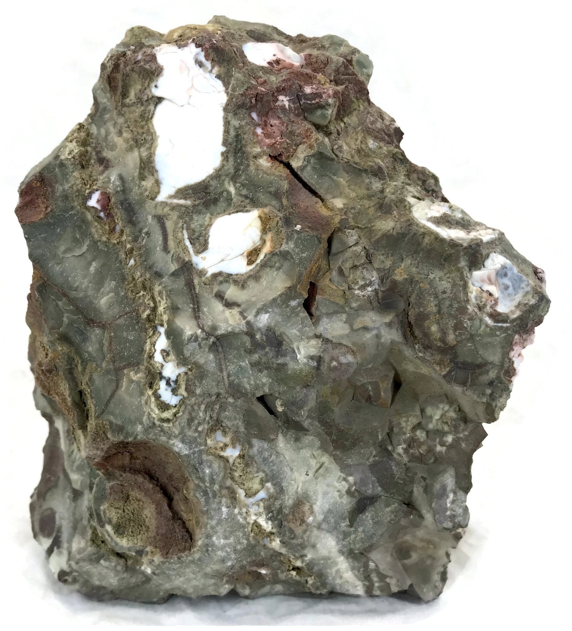 Australian Rainforest Jasper Nodule