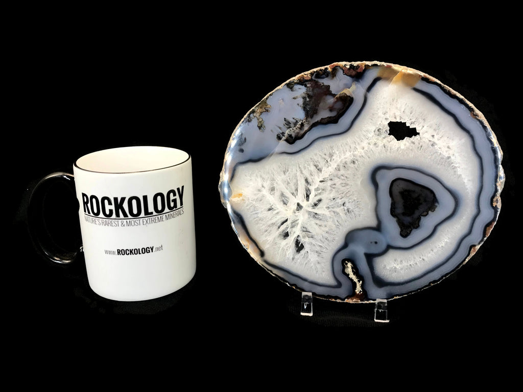 Crystal Surrounded By Brazilian Agate Slice