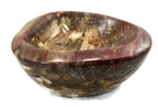 Tree Ringed Petrified Wood Bowl
