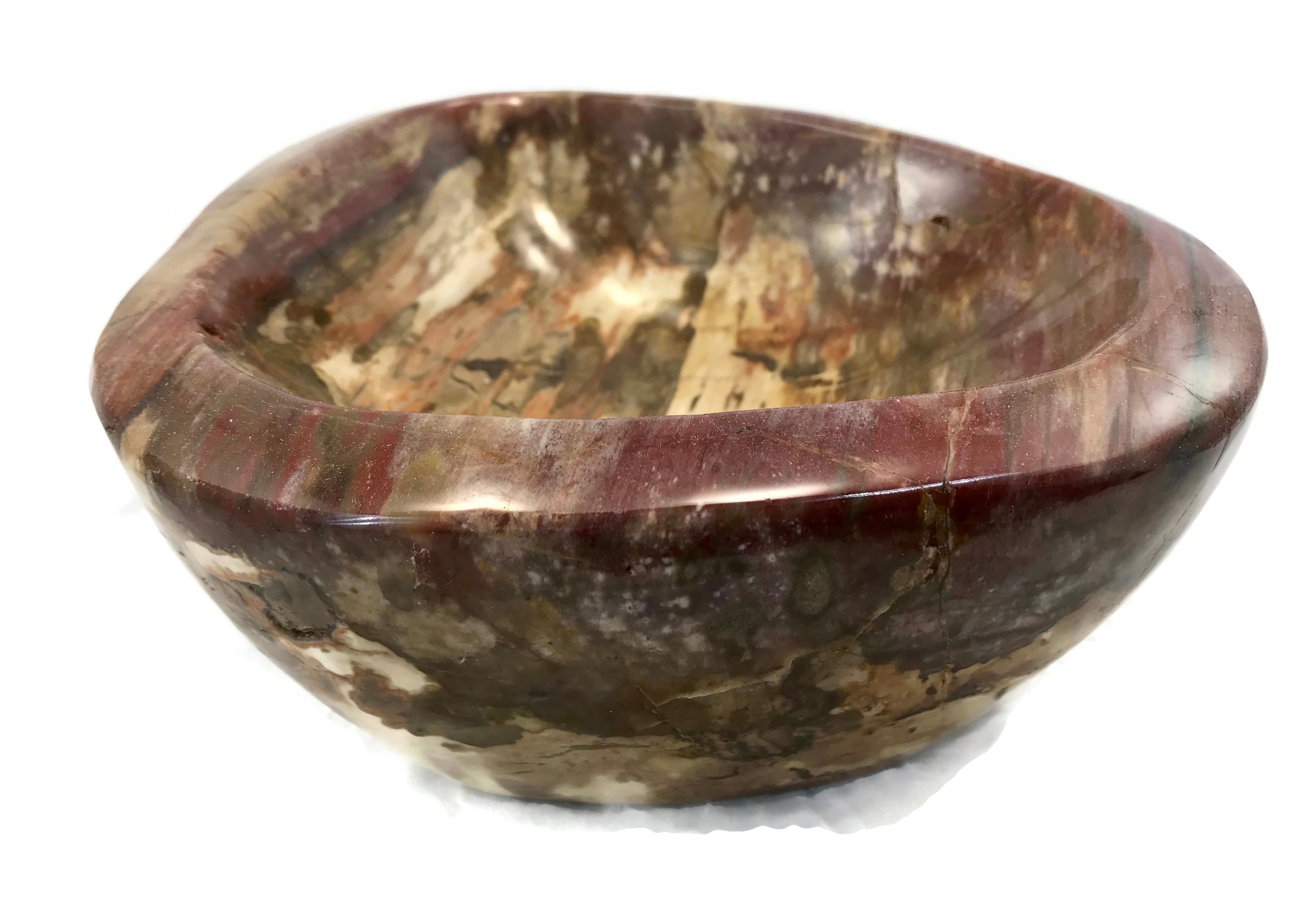 Tree Ringed Petrified Wood Bowl