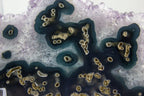 Uruguayan Amethyst Cluster
