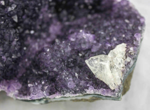 Uruguayan Amethyst Cluster