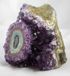 Uruguayan Amethyst Cluster