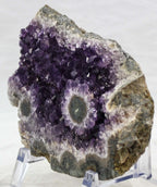 Uruguayan Amethyst Cluster