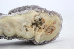 Uruguayan Amethyst Cluster