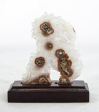 Uruguayan Stalactite Slice