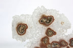Uruguayan Stalactite Slice