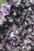 Uruguayan Amethyst Cluster