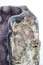 Uruguayan Amethyst Cluster