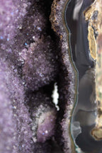 Uruguayan Amethyst Cluster