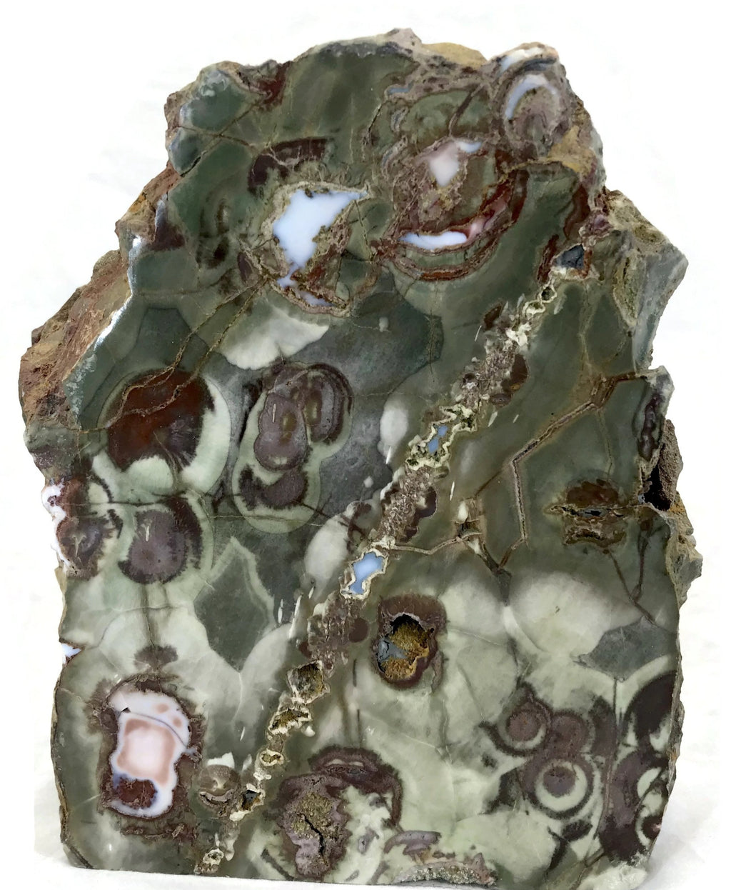 Australian Rainforest Jasper Nodule