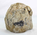 Uruguayan Amethyst Cluster