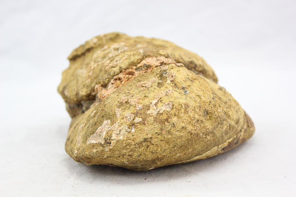 Uruguayan Amethyst Geode