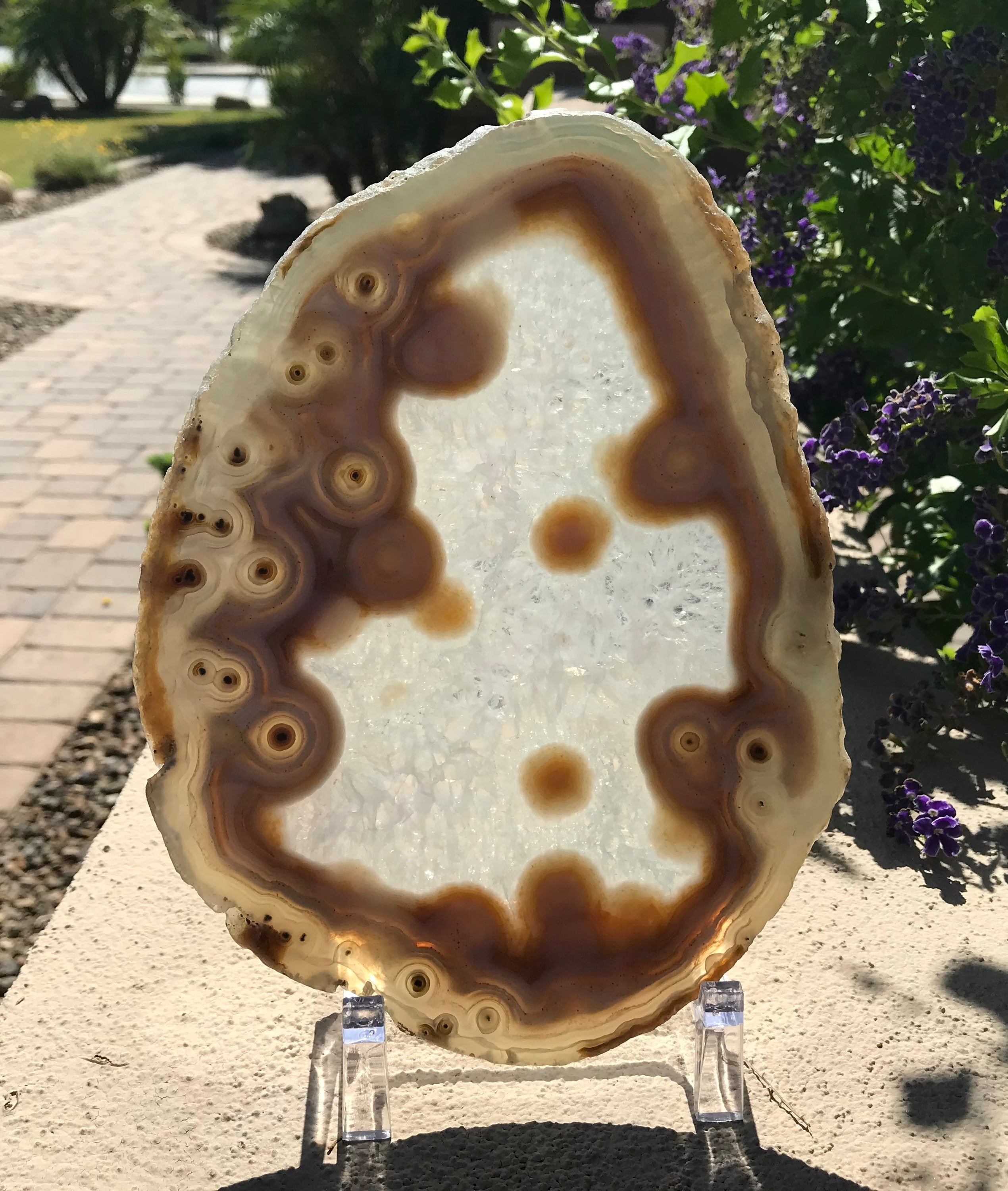 Eyed Agate Slice
