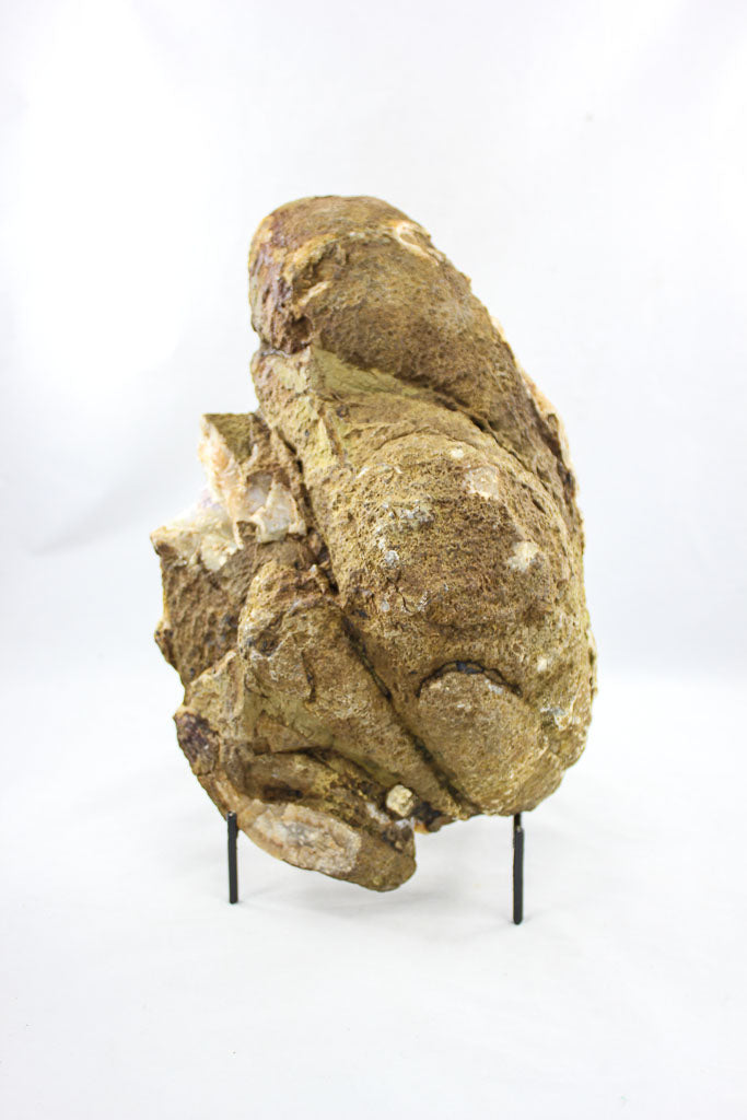 Uruguayan Amethyst and Agate Geode