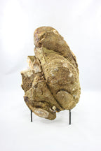 Uruguayan Amethyst and Agate Geode