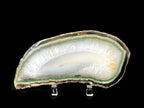Green Rimmed Quartz and Agate Slice