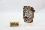 Mexican Crazy Lace Agate