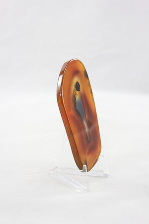 Polished Agate Slice