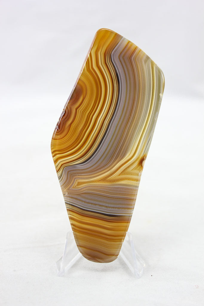 Polished Agate Slice