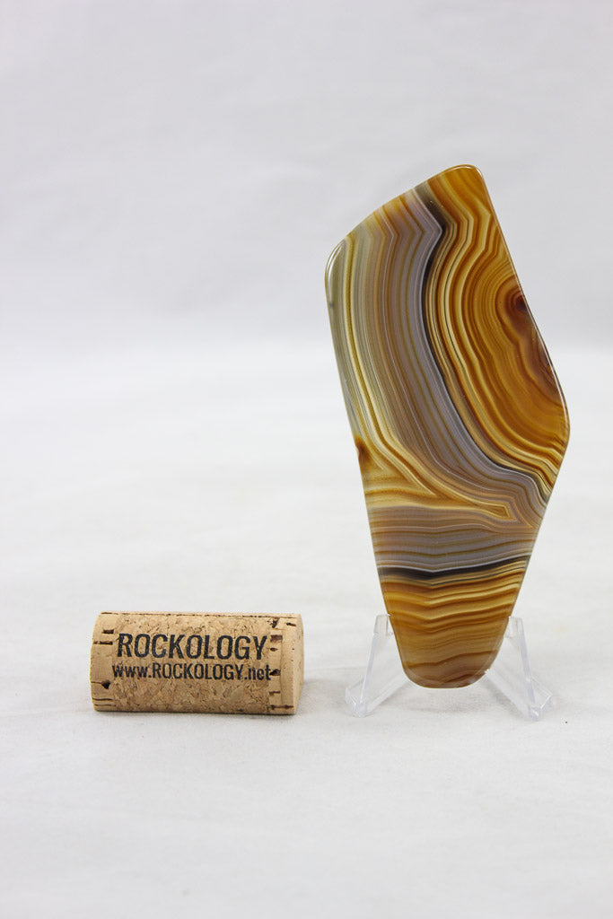 Polished Agate Slice