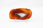 Polished Agate Slice