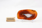 Polished Agate Slice