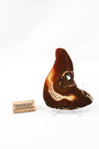 Polished Agate Slice